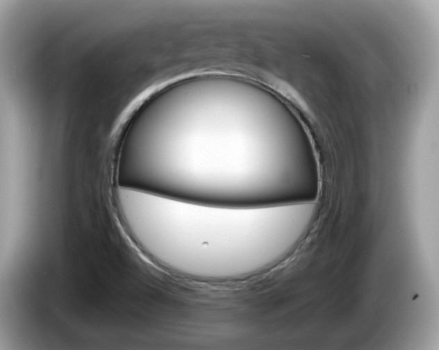 X0000086241504200703290954