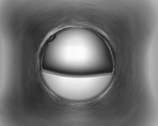 X0000086241506200703290954