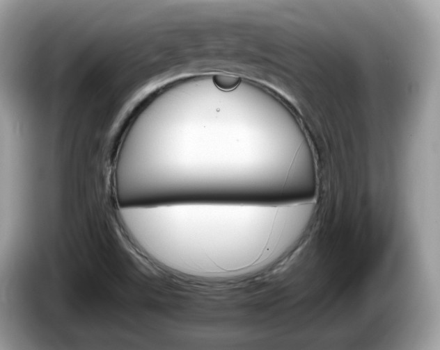 X0000086241507200703290954