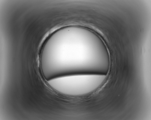 X0000086241509200703290954