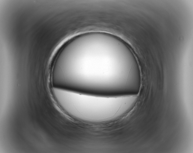 X0000086241511200703290954
