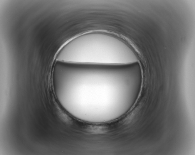 X0000086241513200703290954