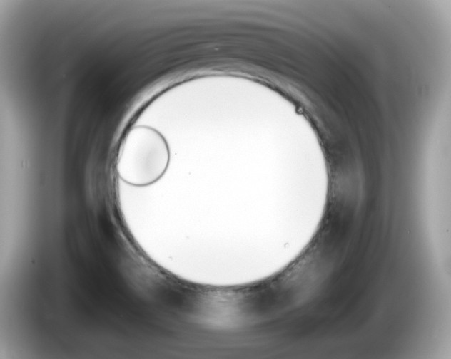 X0000086241514200703290954