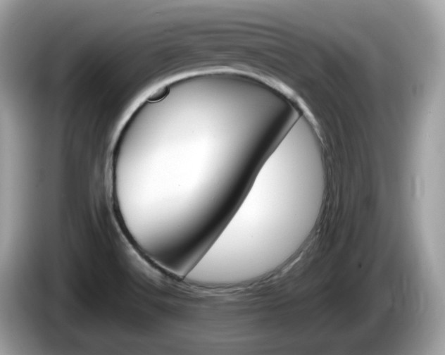 X0000086241516200703290954