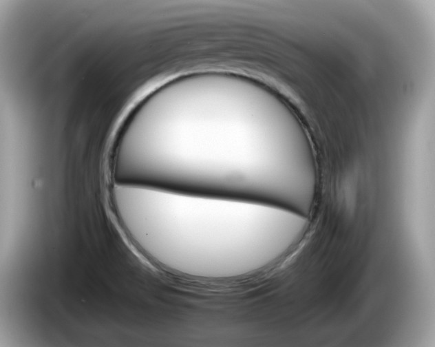X0000086241517200703290954