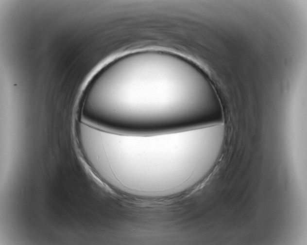 X0000086241518200703290954