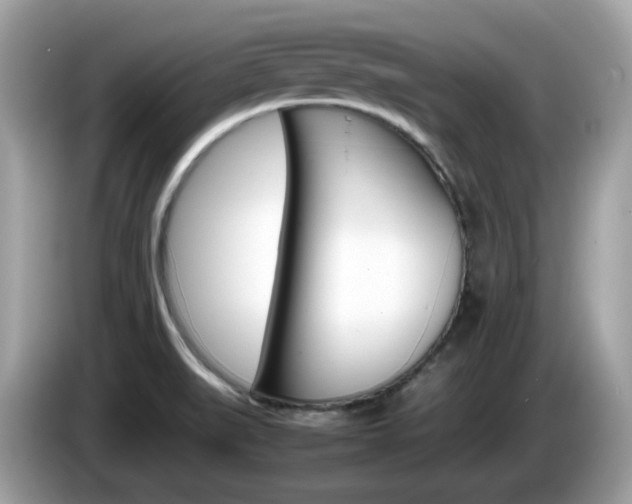 X0000086241519200703290954