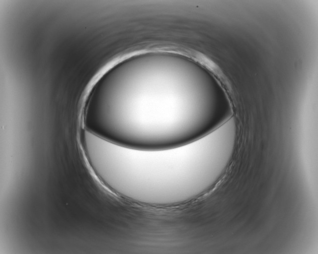 X0000086241520200703290954