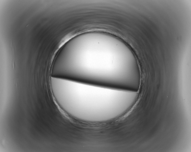 X0000086241521200703290954