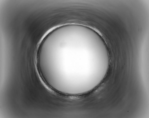 X0000086241523200703290954