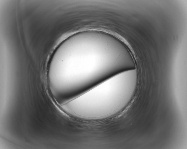 X0000086241525200703290954