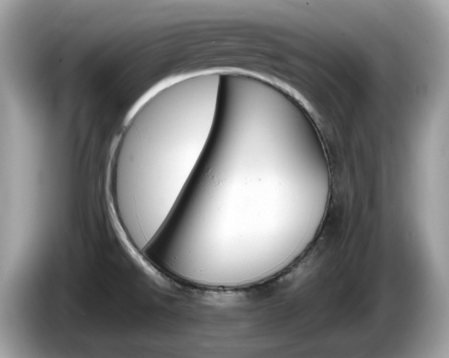 X0000086241526200703290954