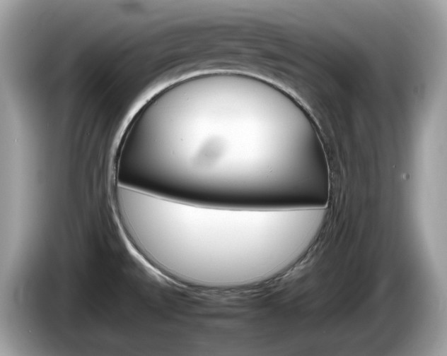 X0000086241527200703290954