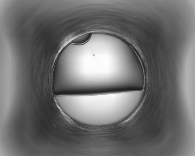 X0000086241529200703290954