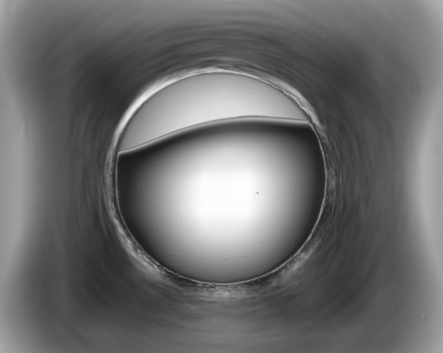 X0000086241530200703290954