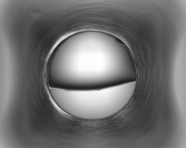 X0000086241531200703290954
