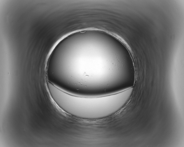 X0000086241532200703290954