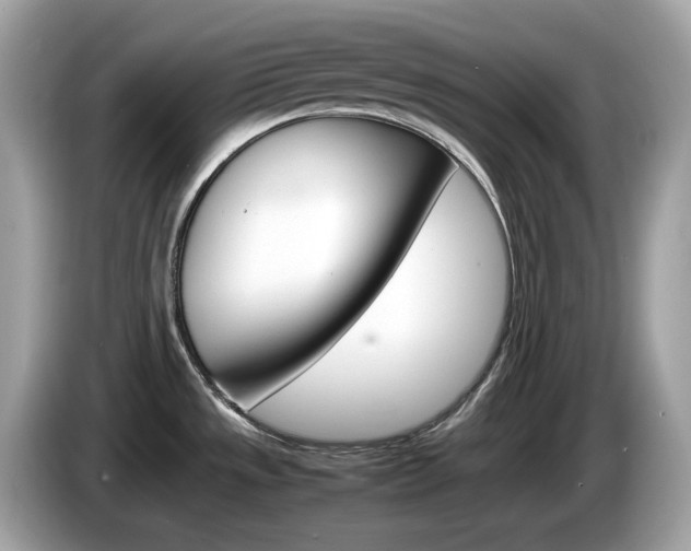 X0000086241533200703290954
