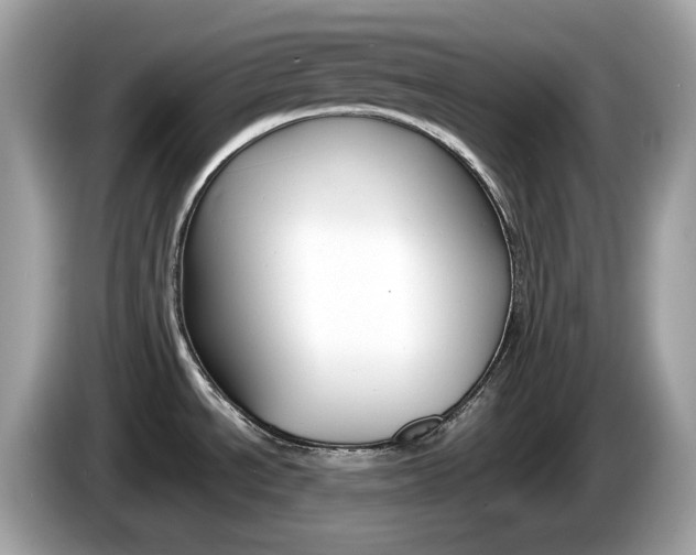 X0000086241534200703290954