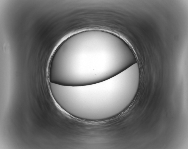 X0000086241535200703290954