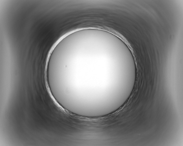 X0000086241536200703290954