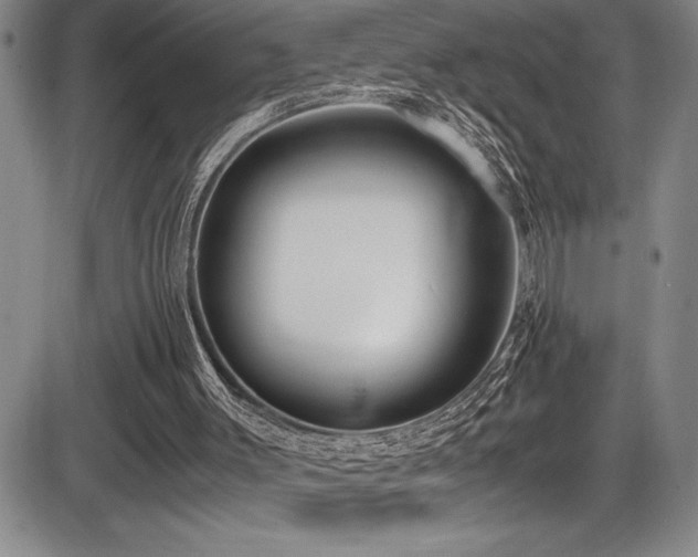 X0000086240003200703291407