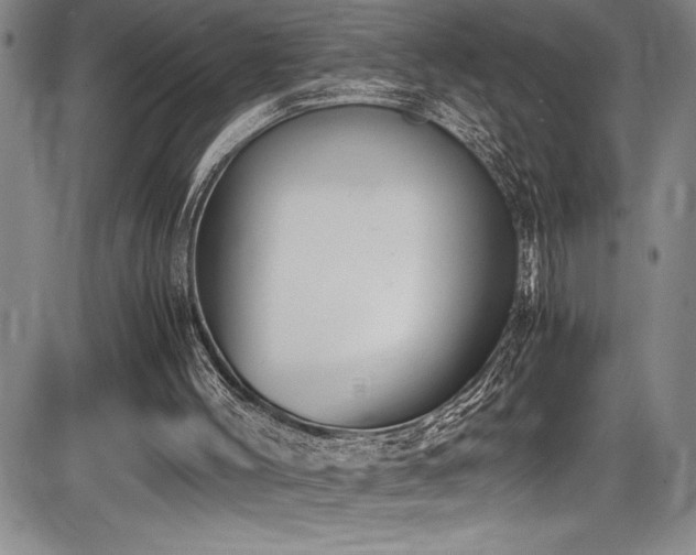 X0000086240004200703291407