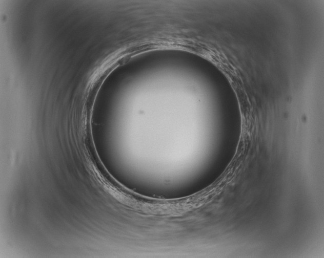 X0000086240005200703291407