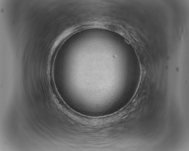 X0000086240006200703291407