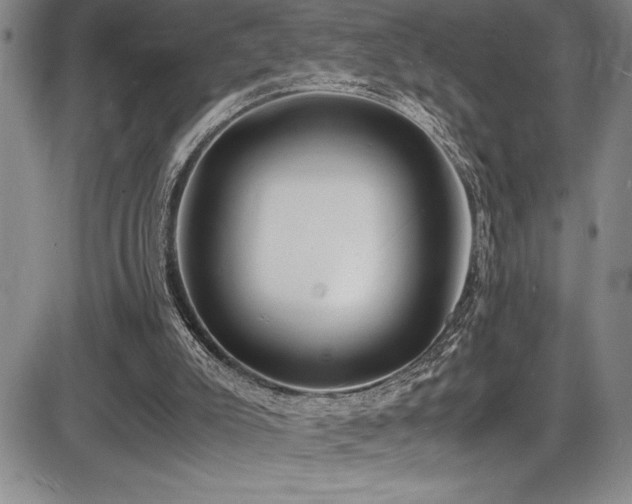 X0000086240007200703291407