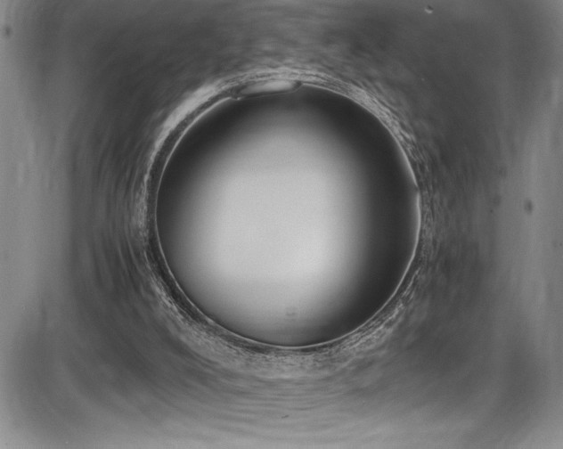X0000086240008200703291407