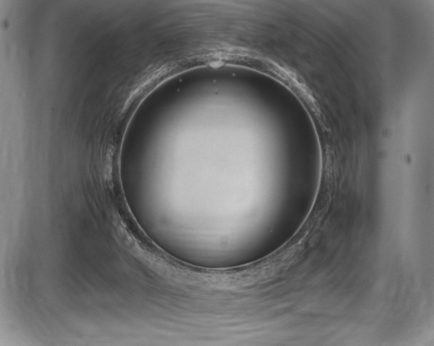 X0000086240010200703291407