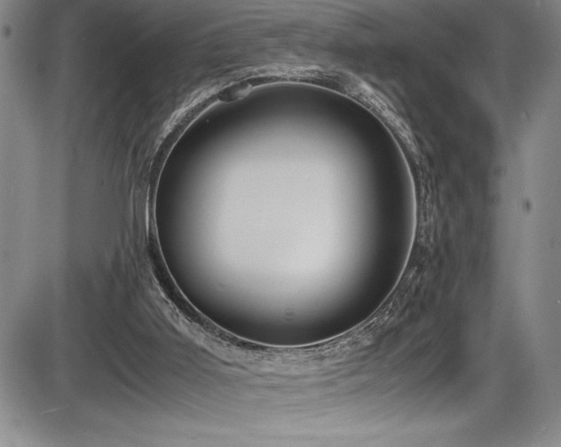 X0000086240011200703291407