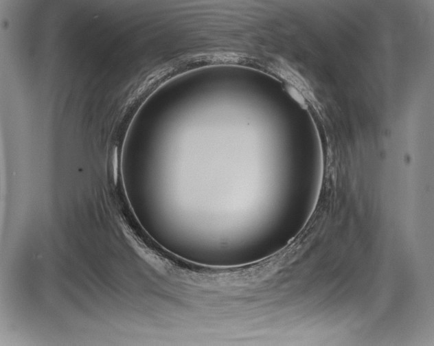 X0000086240013200703291407