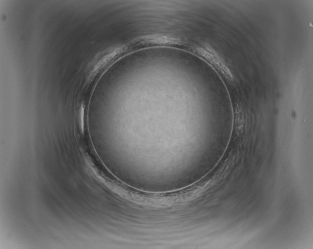 X0000086240014200703291407