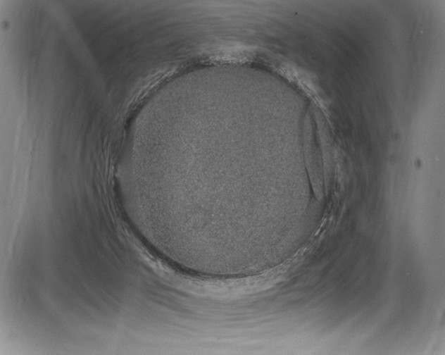 X0000086240017200703291407