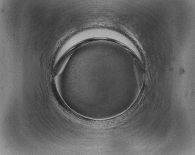X0000086240019200703291407