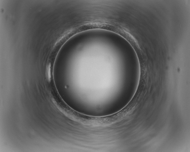 X0000086240020200703291407