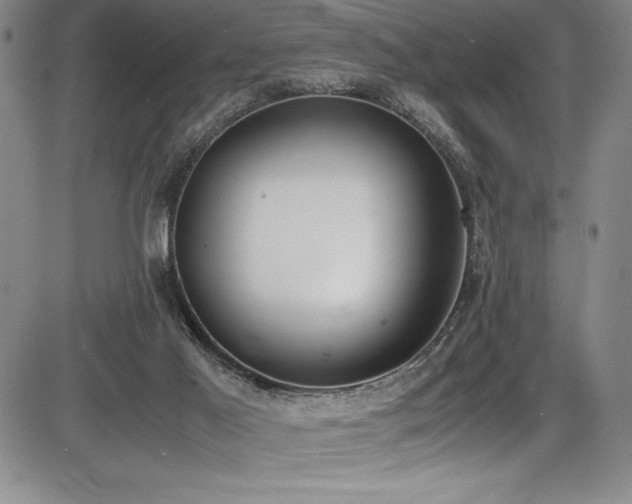 X0000086240021200703291407