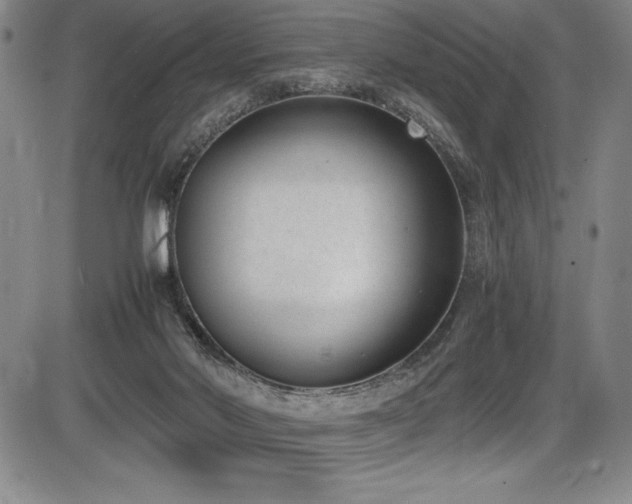X0000086240022200703291407
