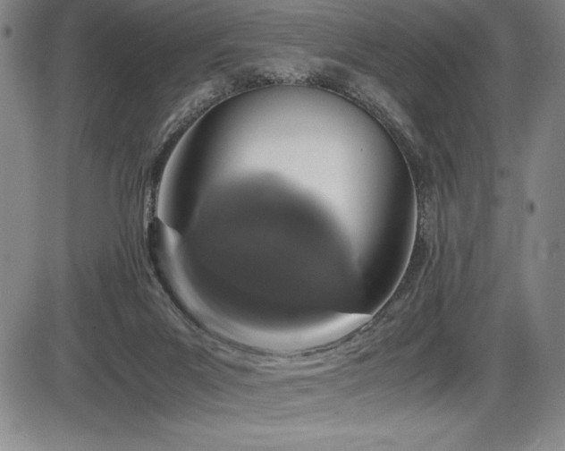 X0000086240023200703291407