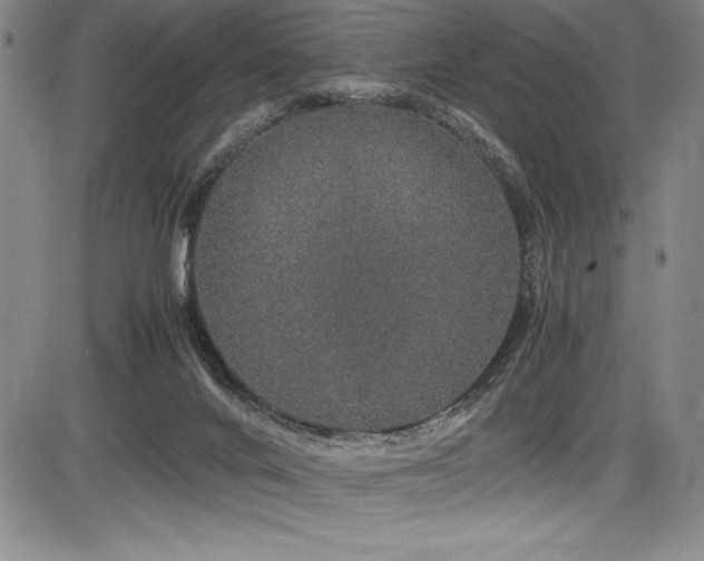 X0000086240024200703291407