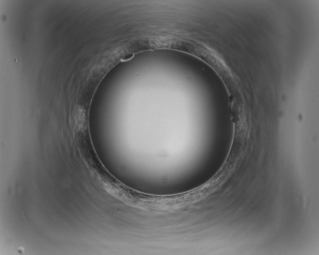 X0000086240025200703291407