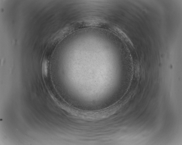 X0000086240026200703291407