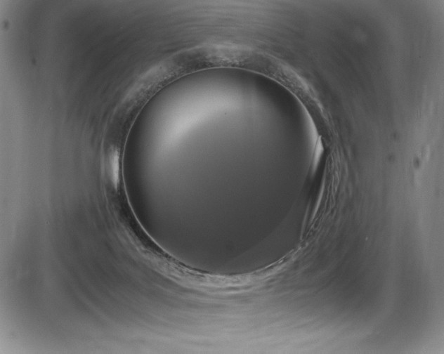 X0000086240027200703291407