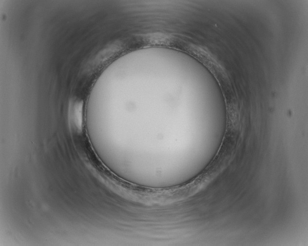 X0000086240028200703291407