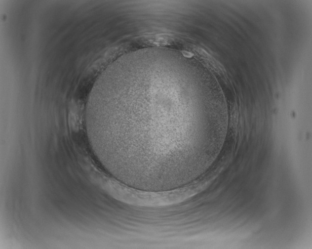 X0000086240030200703291407