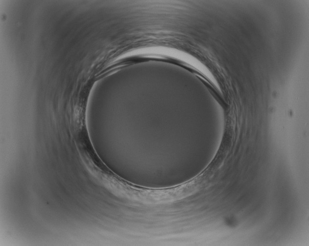 X0000086240031200703291407