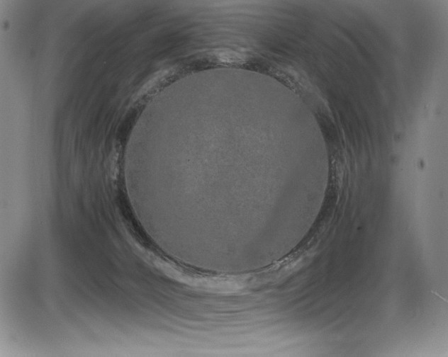 X0000086240032200703291407
