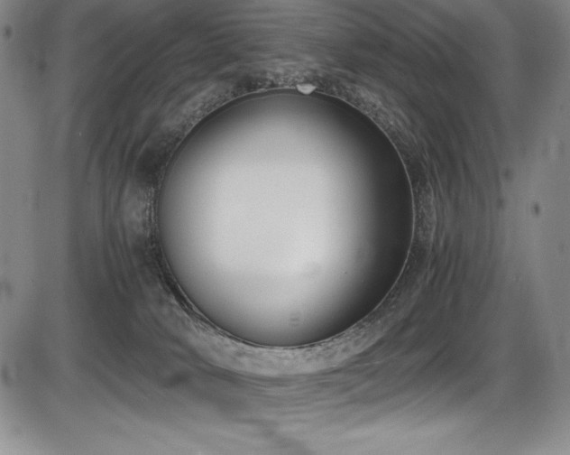X0000086240034200703291407